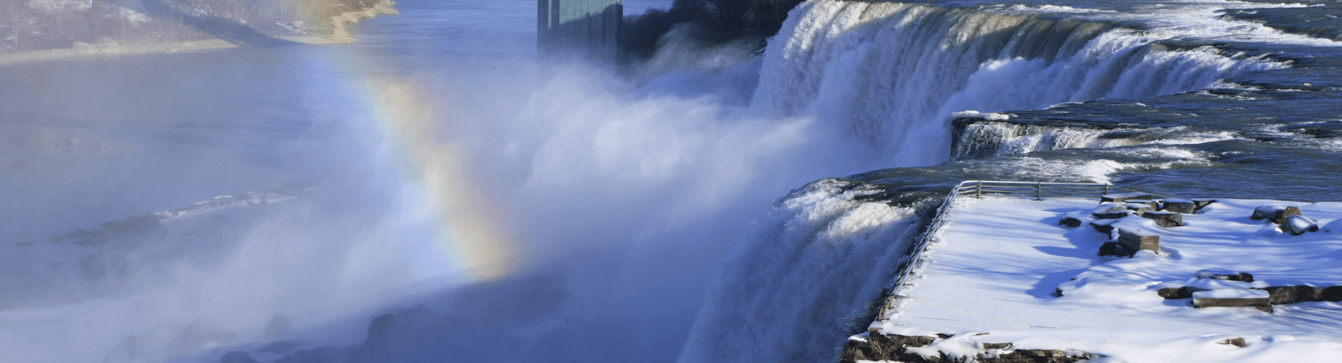 מאורגנים לקנדה