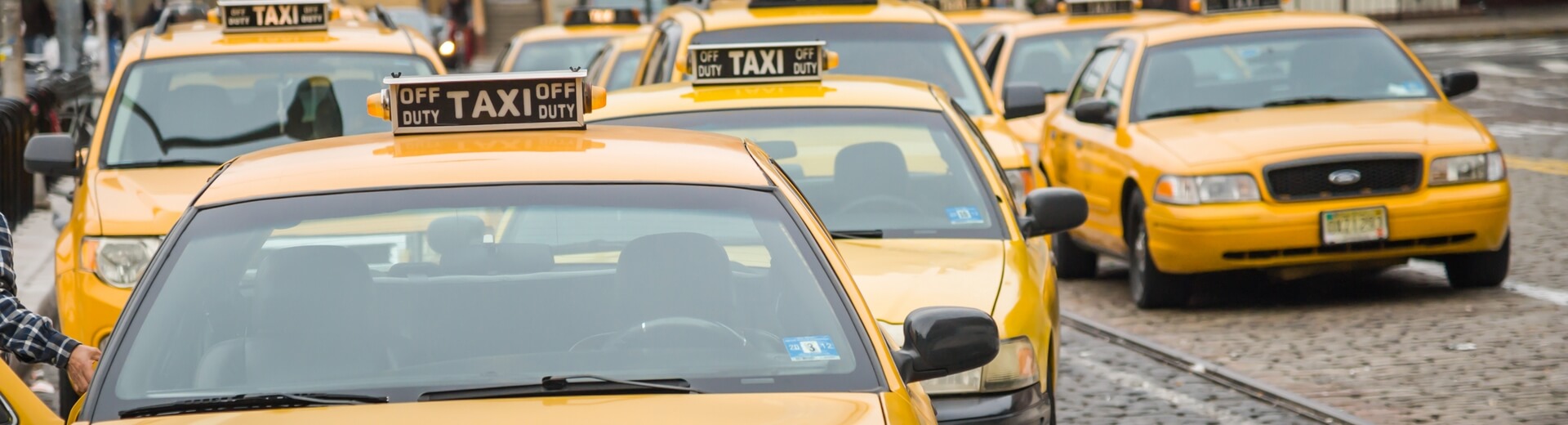 מאורגנים לניו יורק