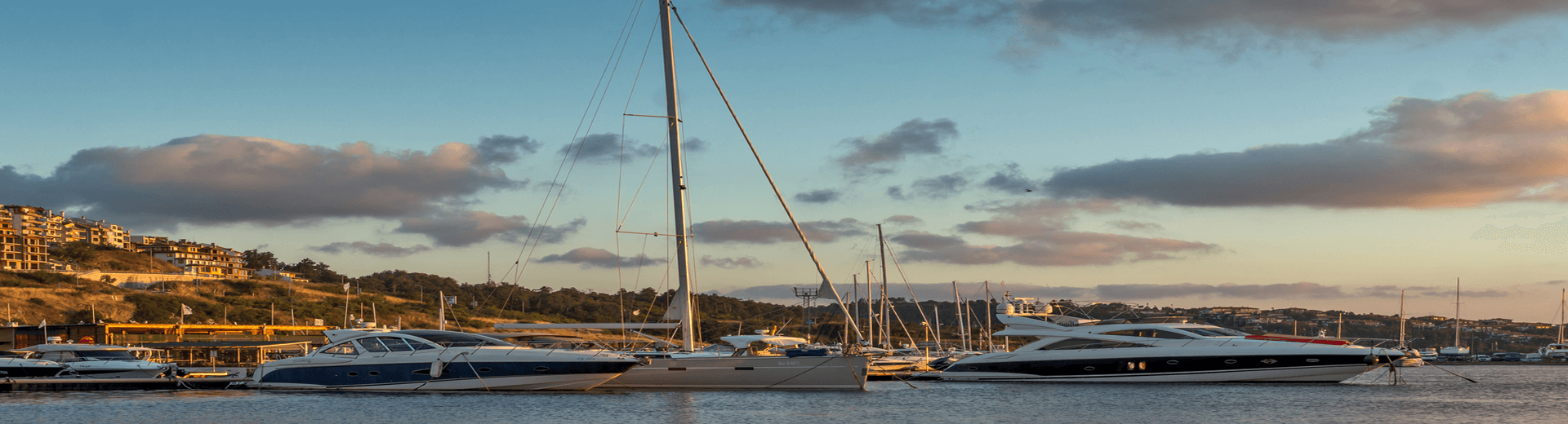 מאורגנים לבולגריה