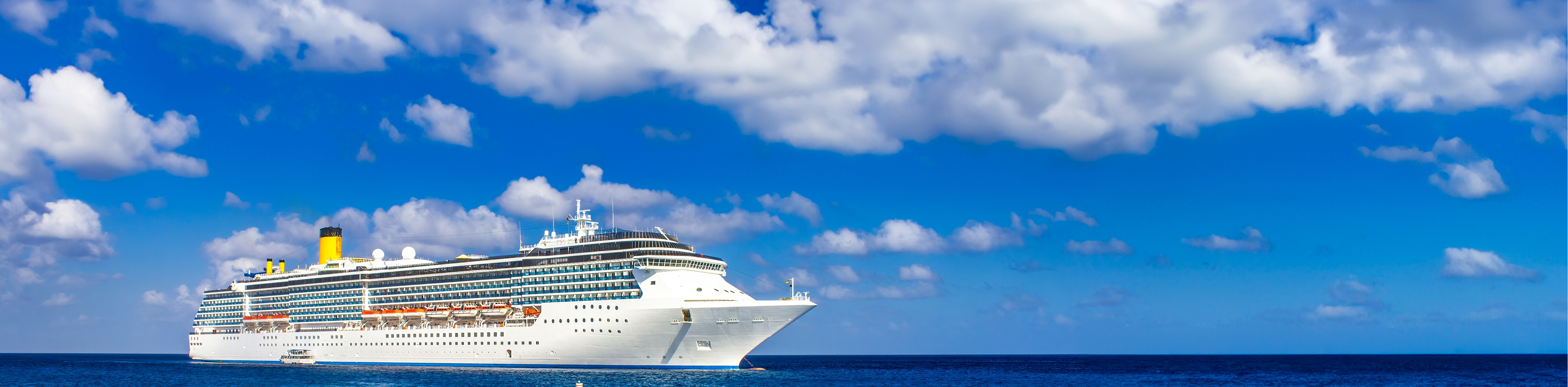 קרוז מאורגן לארהב